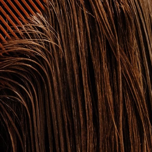 Penthouse Pass at Glam Culture Blowdry Bar and Social Club in Melbourne, FL